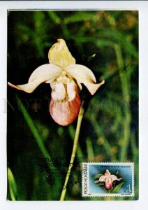 422216 ROMANIA 1990 year flowers orchid maximum card