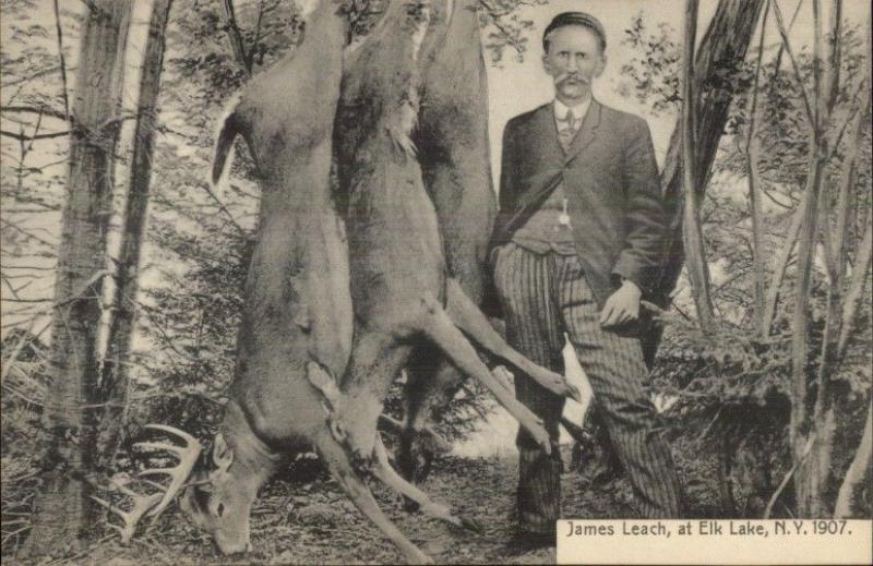 Elk Lake NY James Leach Hunter Dead Deer 1907 Postcard