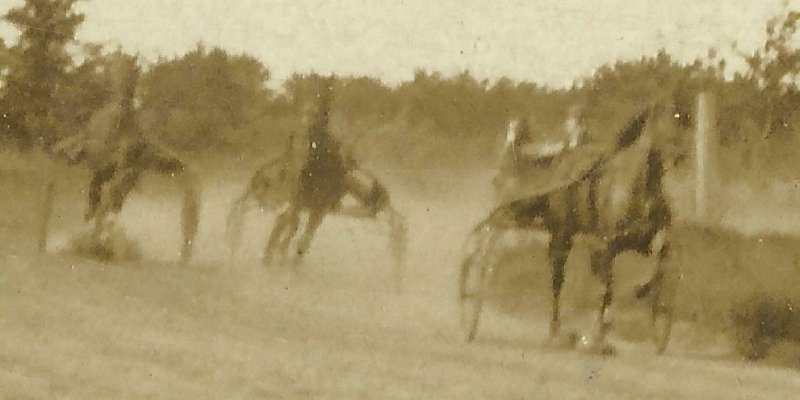 RP c1910 HARNESS RACING Horse Race WOOD AT THE RACES Myrick Trotter Trotting 