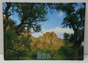 Cotttonwoods Sandstone Zion National Park Vintage Postcard