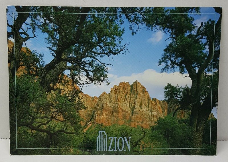 Cotttonwoods Sandstone Zion National Park Vintage Postcard