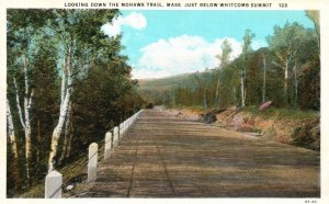 Vintage Postcard 1920s Looking Down Mohawk Trail Massachusetts MA Below Whitcomb