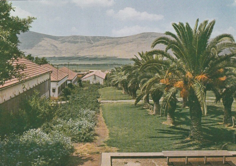 ISRAEL, KIBBUTZ - Vintage POSTCARD