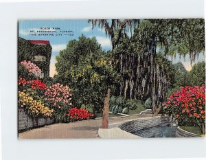 Postcard Roser Park The Sunshine City St. Petersburg Florida USA