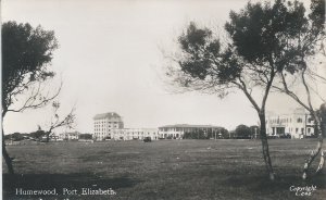 Humewood, Port Elizabeth, South Africa, Early Real Photo Postcard, Unused