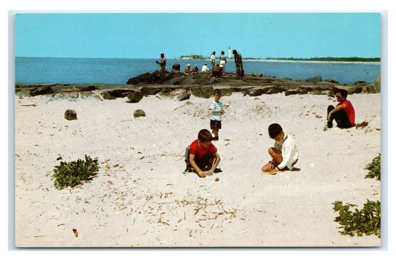 Postcard Looking for Shells on the Sands of Cape May NJ J53 