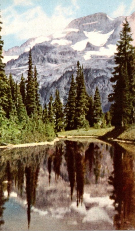 Washington Mount Rainier From Indian Henry's Hunting Grounds