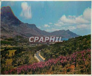 Postcard Modern watsonias Growing on the Mountain above-the-side section of t...