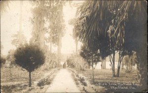 Maitland FL View From the Inn c1910 Real Photo Postcard