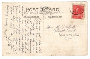 These Tiny Kittens, Pussy Willows  Used 1915