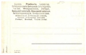 Dog  , Mother and puppies