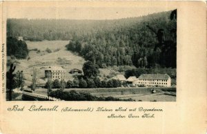 CPA AK Bad Liebenzell Unteres Bad mit Dependance GERMANY (933314)