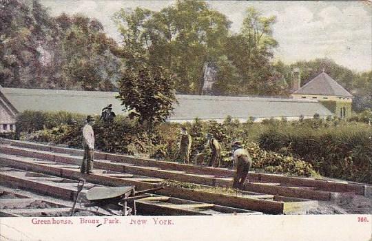 New York Broux Park Green House 1909