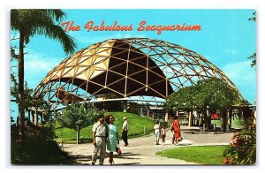 The Golden Aquadome Miami's Seaquarium Florida Postcard