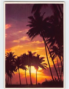 Postcard Florida Tropical Sunset Florida USA