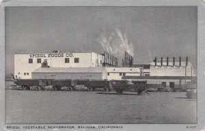 Salinas California Spiegl Vegetable Dehydrator, Photo Print Vintage PC U7605