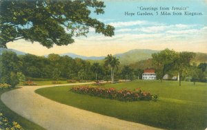 Kingston Jamaica Hope Gardens Litho Postcard Unused