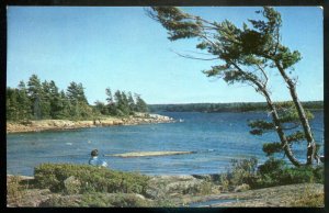 h2079 - FRASER LAKE CAMP Ontario Postcard 1960s Bay View