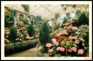 Floral Display, The Conservatory, Fitzroy Gardens, Australia