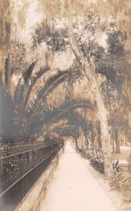 Daytona Florida Ridgewood Avenue Sidewalk Gardens Real Photo Postcard AA68060