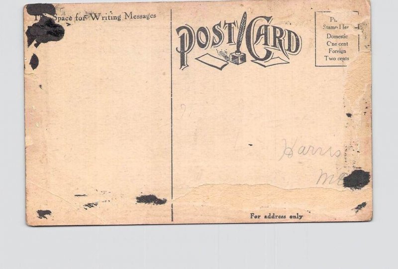 PPC POSTCARD GIVE US ROOSEVELT OR GIVE US TAFT 1908 ELECTION