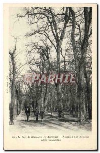 Old Postcard The Bois de Boulogne in Autumn Avenue des Acacias Allee cavaliere