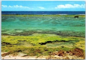 Postcard - Sea - Okinawa, Japan