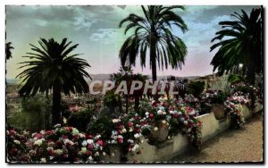 Old Postcard Grasse Its vegetation found exatique In the Mediterranean