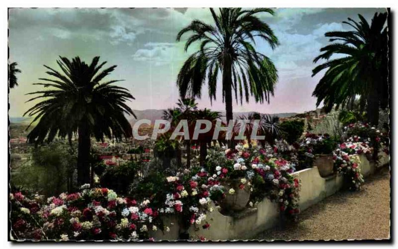 Old Postcard Grasse Its vegetation found exatique In the Mediterranean