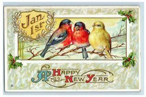 c.1910 Lovely Embossed Birds New Year Jan 1st Holly Vintage Postcard F50