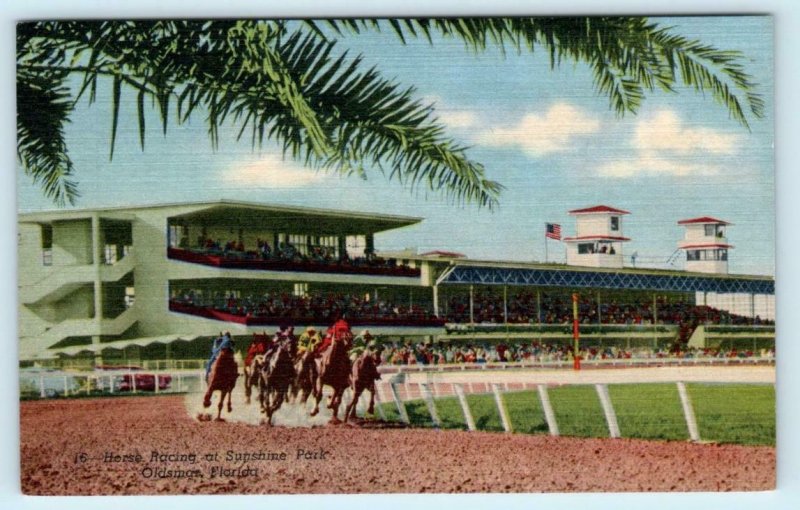 OLDSMAR, Florida FL  Horse Racing SUNSHINE PARK Race Track ca 1940s   Postcard 