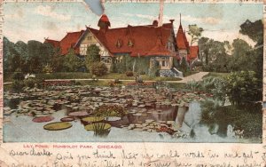 Vintage Postcard 1907 Lily Pond Humboldt Park Chicago Illinois ILL.