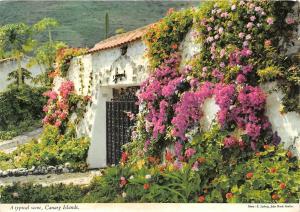 BR14343 Canary Islands The Entrance to a country residence  spain