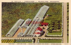 1935 AIRPLANE VIEW OF N. GRILLO - FLORICULTURIST - MILLDALE, CT
