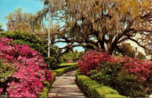 Louisiana Baton Rouge Capitol Gardens In The Spring 1967