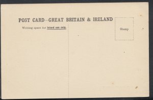 Kent Postcard - Chislehurst Common    RS8098