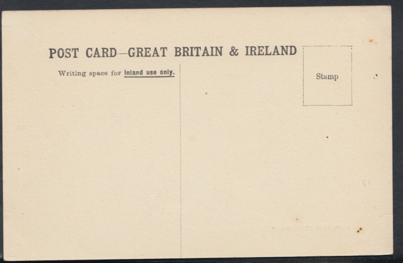 Kent Postcard - Chislehurst Common    RS8098