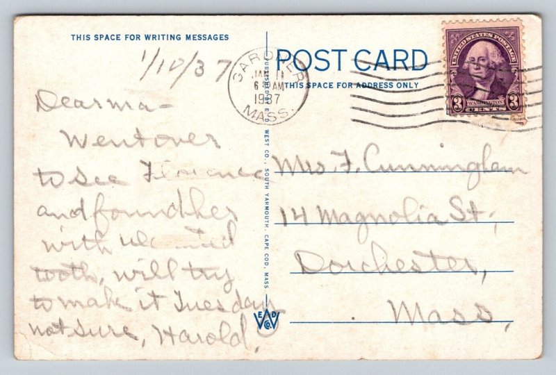 1937  Ocean Spray Cranberry Harvesting   Cape Cod  Massachusetts    Postcard