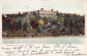 Prospect Park Hotel, Catskills, New York, early postcard, used in 1906