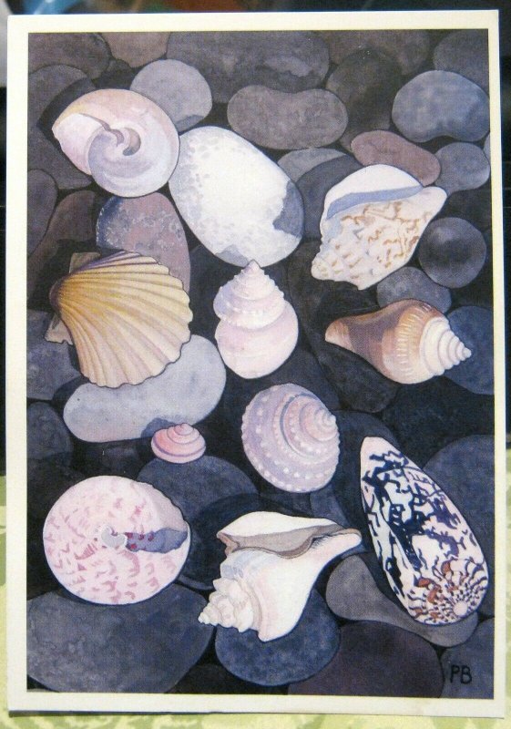 Postcard Art Seashells Penny Brooke - posted 2008