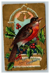 Vintage 1910's Christmas Postcard Red Finch Gold Bells Mistletoe Holly Berries