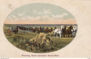 Reaping, Great Canadian North - West, PU-1907