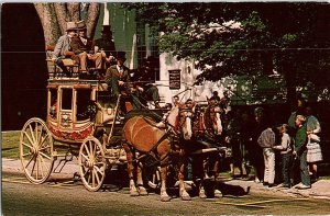 Postcard HORSE SCENE White Mountains New Hampshire NH AI0156