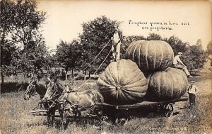 Pumpkins Unused 