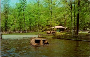 Connecticut, Stamford - Sea Lions Attraction - Museum - [CT-192]