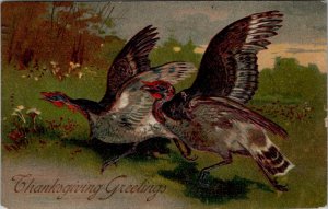 Thanksgiving Greetings Beautiful Turkey Turkeys 1910 Miles Ohio Postcard W16