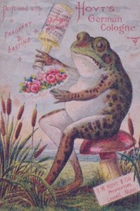 1800s Anthropomorphic Frog Dayton OH Hoyt's German Cologne Victorian Trade Card