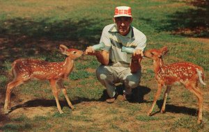 Deer,Bambi-Land at Wisconsin Deer Park,Wisconsin Dells,WI