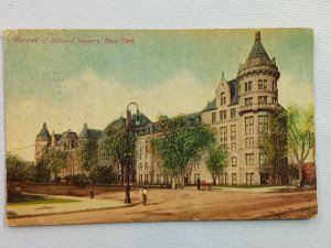 Vintage Postcard 1911 Museum of Natural History Manhattan Square NY New York