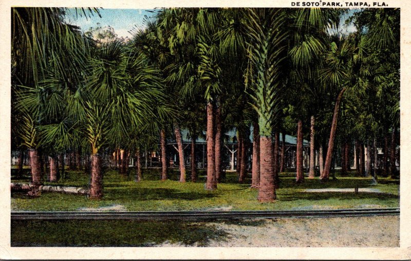 Florida Tampa Scene In De Soto Park Curteich